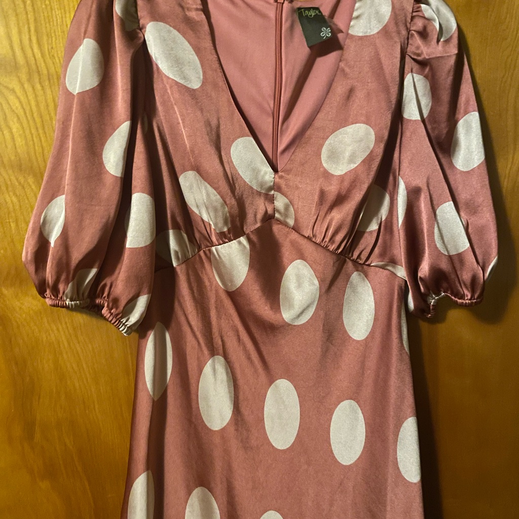 Taylor Brand Dress New